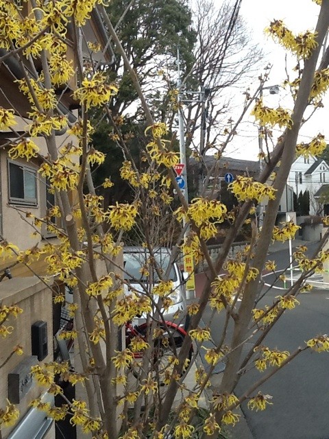 f:id:zam:20140414154208j:plain f:id:zam:20140414154208j:plain