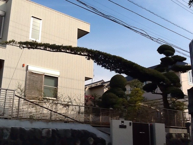 f:id:zam:20140414155638j:plain f:id:zam:20140414155638j:plain