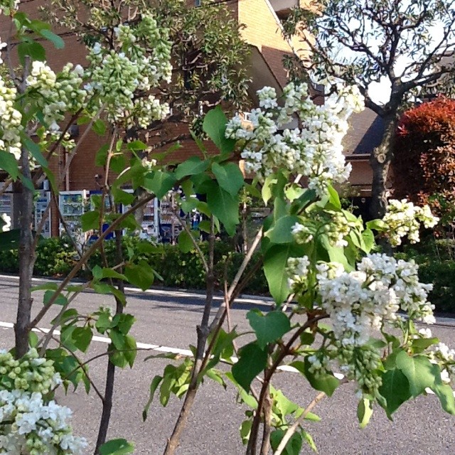 f:id:zam:20140415221523j:plain f:id:zam:20140415221523j:plain