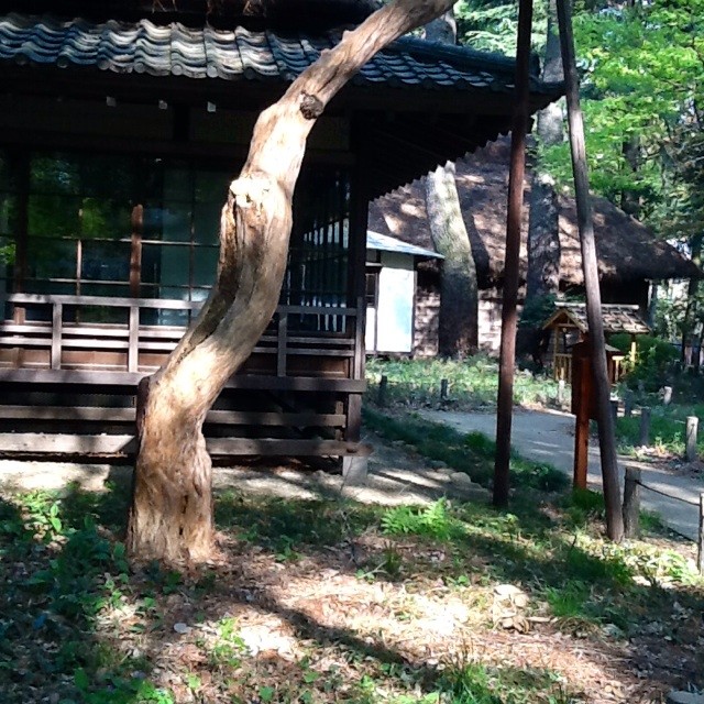 f:id:zam:20140415222500j:plain f:id:zam:20140415222500j:plain