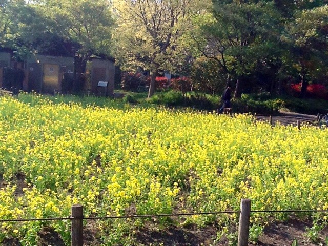 f:id:zam:20140415223328j:plain f:id:zam:20140415223328j:plain