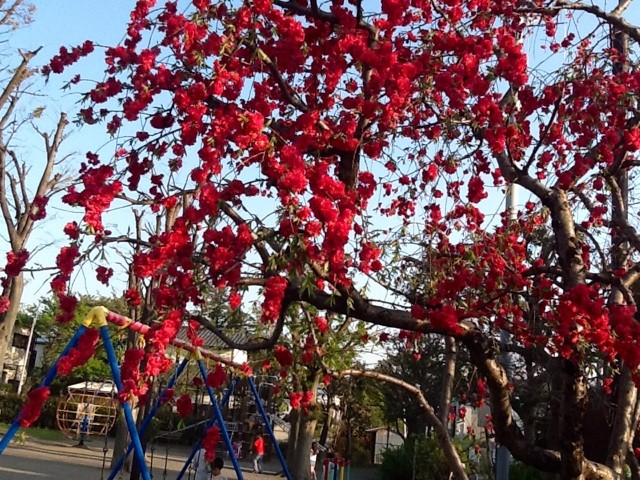 f:id:zam:20140415223736j:plain f:id:zam:20140415223736j:plain