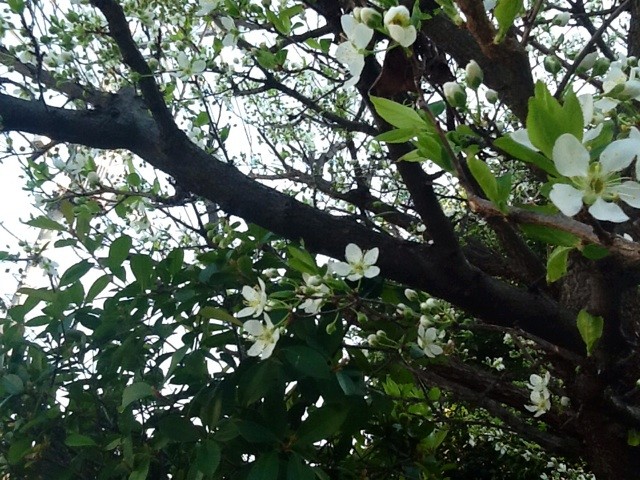 f:id:zam:20140416013122j:plain f:id:zam:20140416013122j:plain