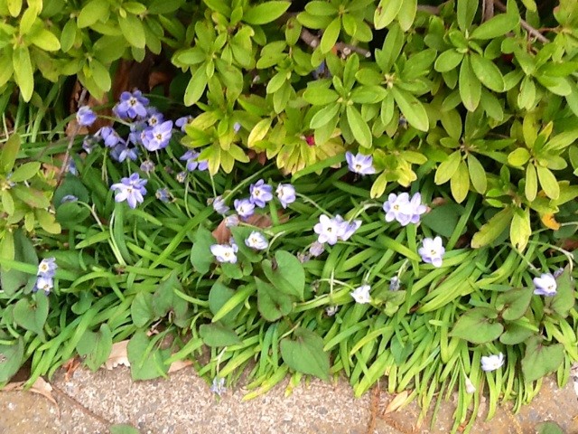 f:id:zam:20140419234834j:plain f:id:zam:20140419234834j:plain