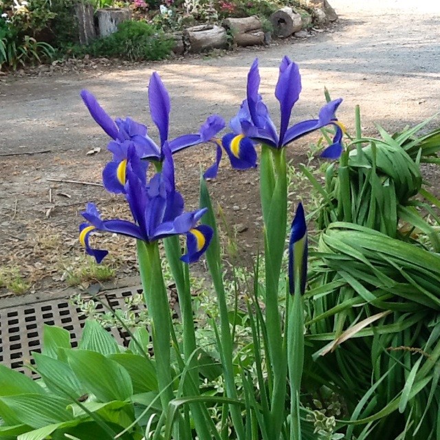 f:id:zam:20140423234858j:plain f:id:zam:20140423234858j:plain