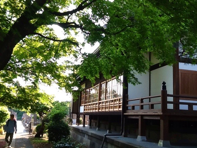 f:id:zam:20140426212321j:plain f:id:zam:20140426212321j:plain