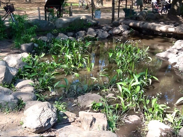 f:id:zam:20140427211539j:plain f:id:zam:20140427211539j:plain
