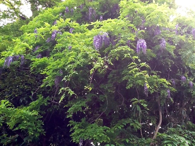 f:id:zam:20140428192312j:plain f:id:zam:20140428192312j:plain