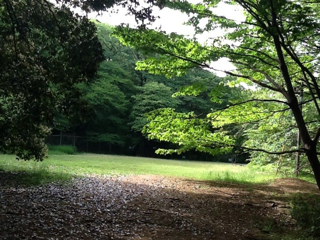 f:id:zam:20140428192945j:plain f:id:zam:20140428192945j:plain