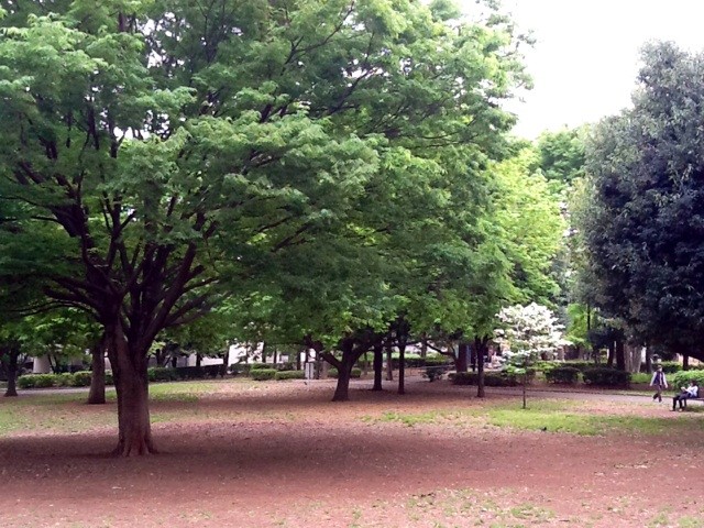 f:id:zam:20140428193721j:plain f:id:zam:20140428193721j:plain