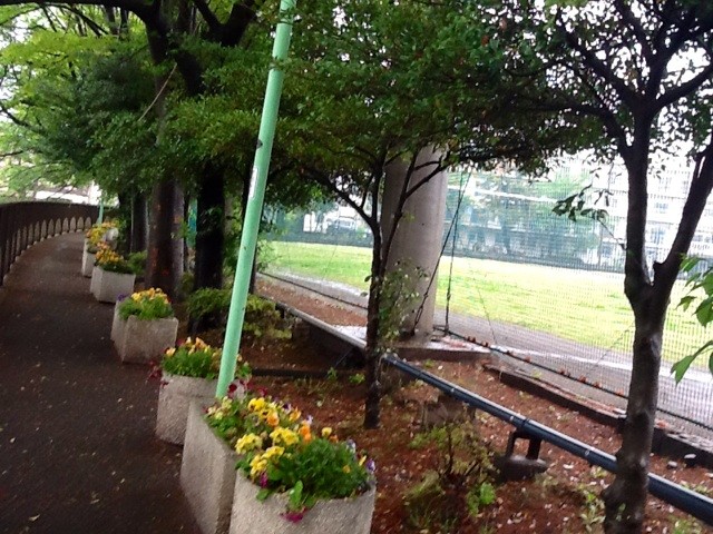 f:id:zam:20140501001248j:plain f:id:zam:20140501001248j:plain