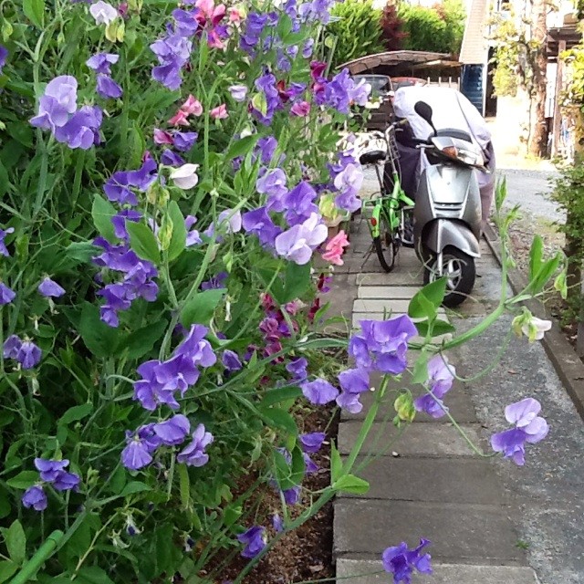 f:id:zam:20140502210749j:plain f:id:zam:20140502210749j:plain