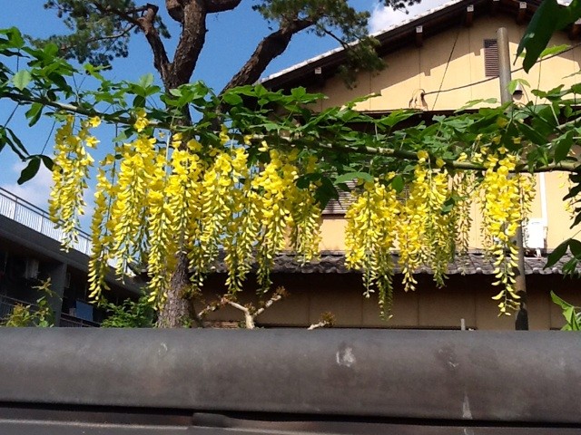 f:id:zam:20140507195647j:plain f:id:zam:20140507195647j:plain