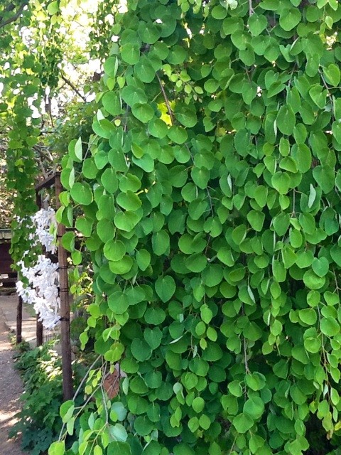 f:id:zam:20140507200140j:plain f:id:zam:20140507200140j:plain