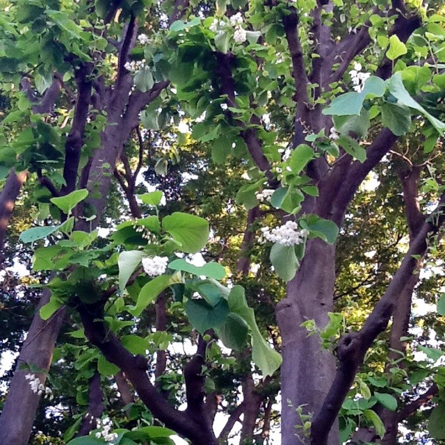 f:id:zam:20140507201251j:plain f:id:zam:20140507201251j:plain