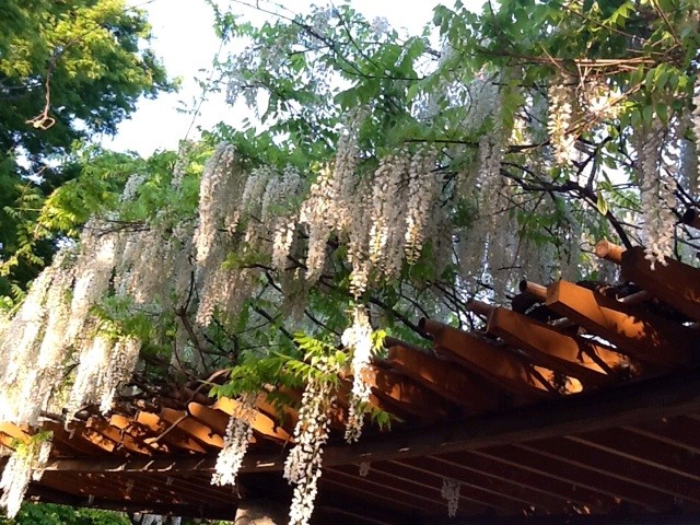 f:id:zam:20140507201701j:plain f:id:zam:20140507201701j:plain