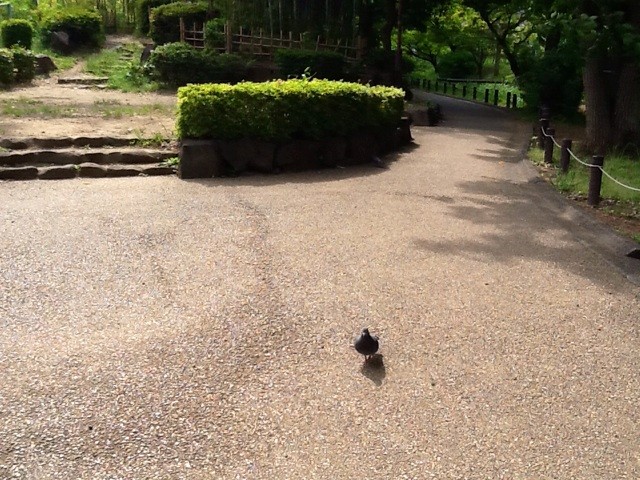 f:id:zam:20140508222911j:plain f:id:zam:20140508222911j:plain
