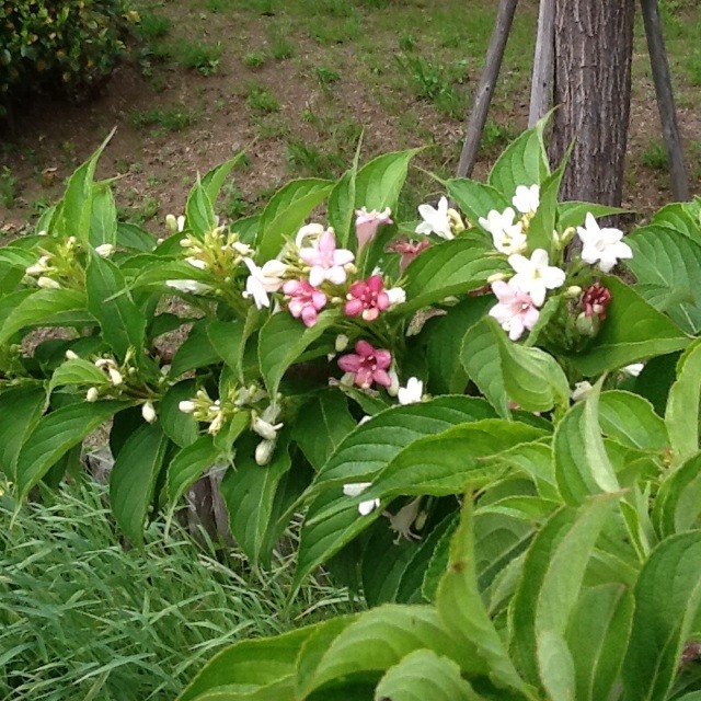 f:id:zam:20140508224350j:plain f:id:zam:20140508224350j:plain