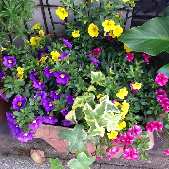 f:id:zam:20140509191434j:plain f:id:zam:20140509191434j:plain