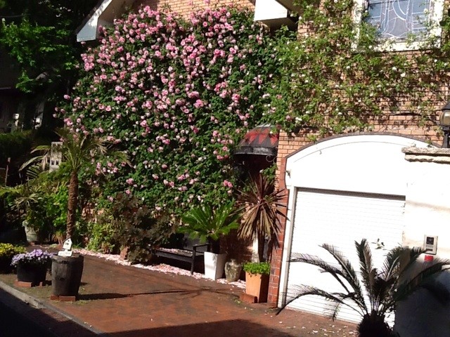 f:id:zam:20140510202216j:plain f:id:zam:20140510202216j:plain
