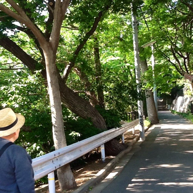 f:id:zam:20140510203139j:plain f:id:zam:20140510203139j:plain