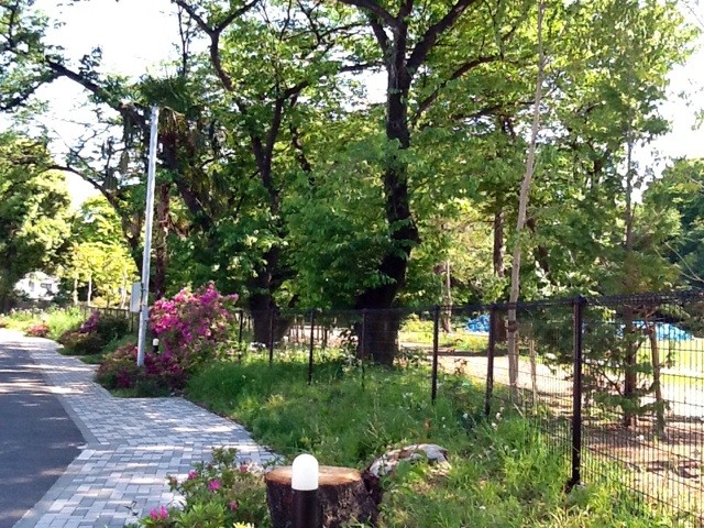 f:id:zam:20140511214133j:plain f:id:zam:20140511214133j:plain