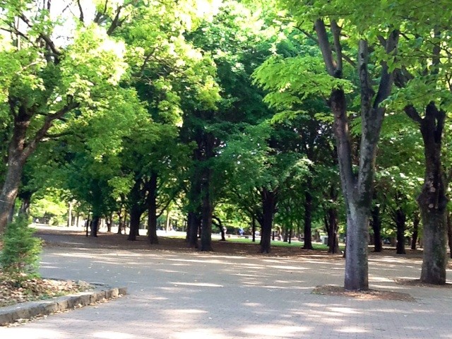 f:id:zam:20140511220157j:plain f:id:zam:20140511220157j:plain