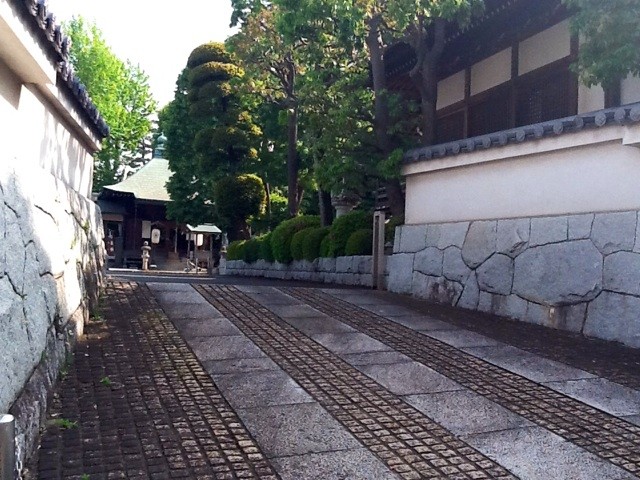 f:id:zam:20140513211642j:plain f:id:zam:20140513211642j:plain