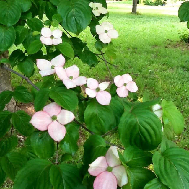 f:id:zam:20140516211502j:plain f:id:zam:20140516211502j:plain