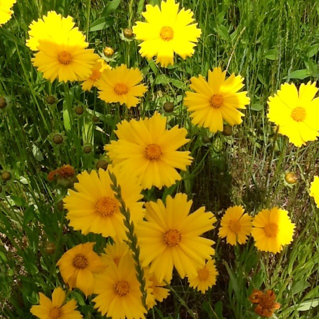 f:id:zam:20140519204821j:plain f:id:zam:20140519204821j:plain