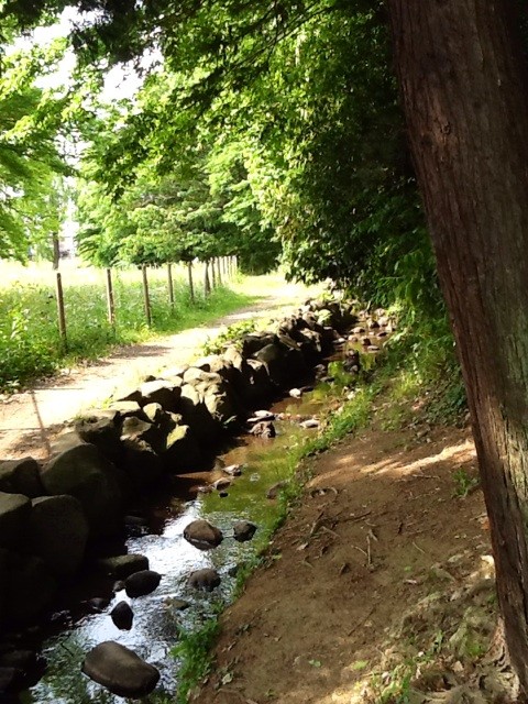 f:id:zam:20140519210024j:plain f:id:zam:20140519210024j:plain