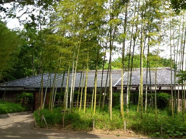 f:id:zam:20140519210639j:plain f:id:zam:20140519210639j:plain