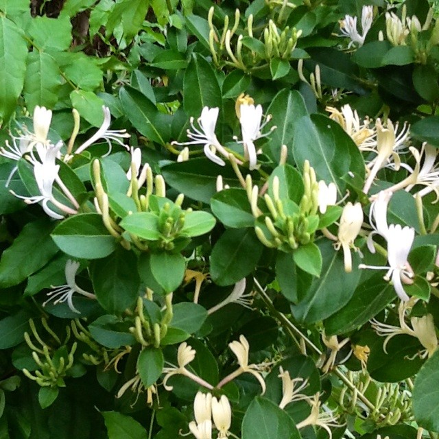 f:id:zam:20140519212616j:plain f:id:zam:20140519212616j:plain