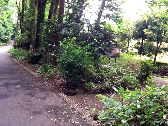 f:id:zam:20140523215713j:plain f:id:zam:20140523215713j:plain
