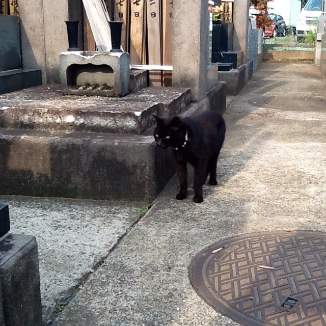 f:id:zam:20140523221453j:plain f:id:zam:20140523221453j:plain
