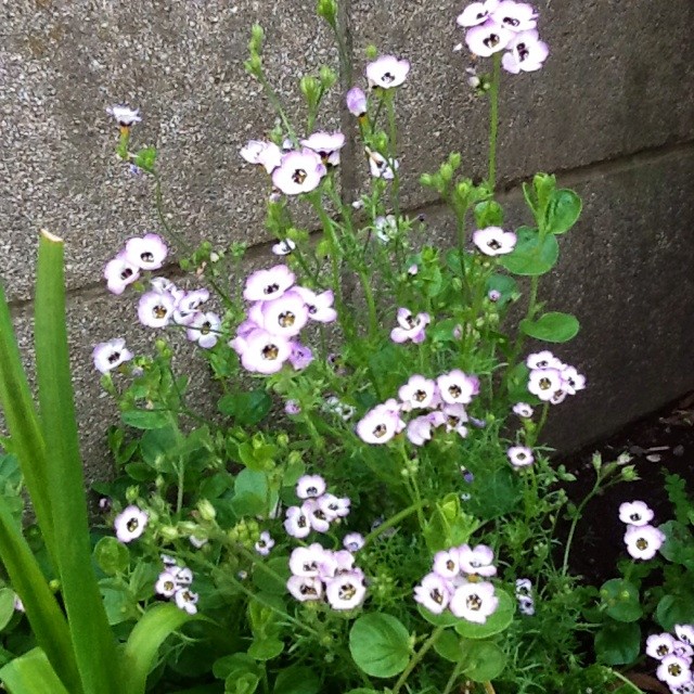 f:id:zam:20140524205513j:plain f:id:zam:20140524205513j:plain