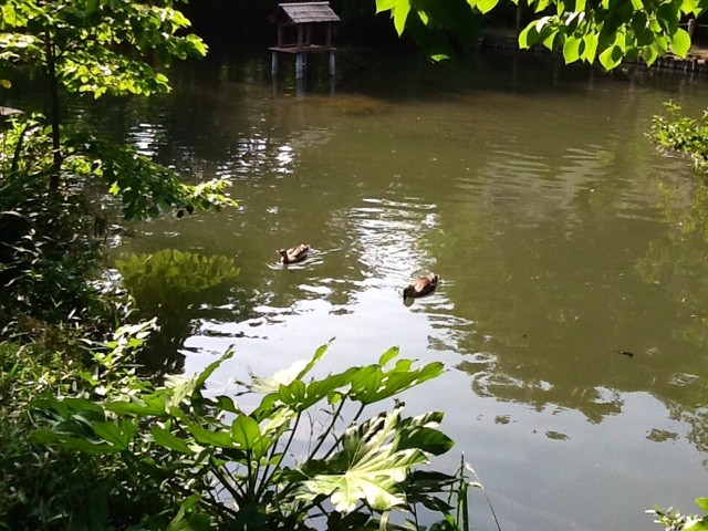 f:id:zam:20140524205949j:plain f:id:zam:20140524205949j:plain