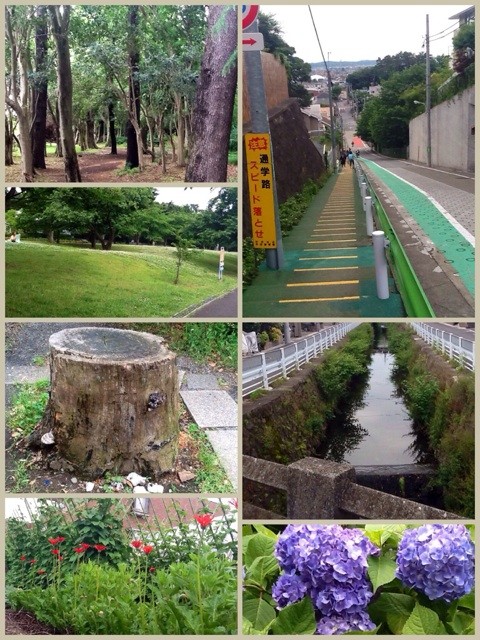 f:id:zam:20140603223626j:plain f:id:zam:20140603223626j:plain