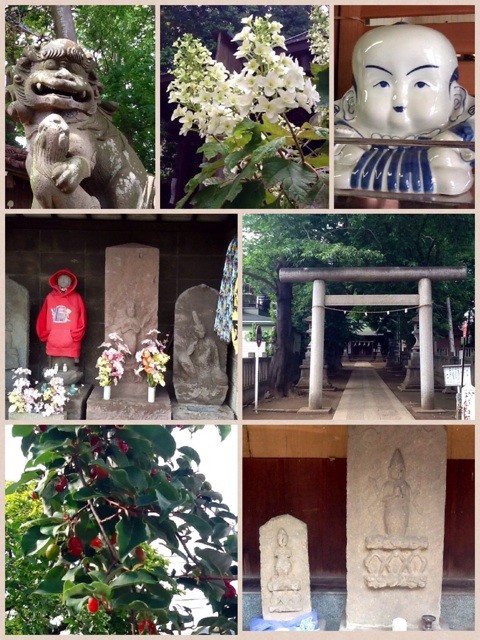 f:id:zam:20140603224203j:plain f:id:zam:20140603224203j:plain