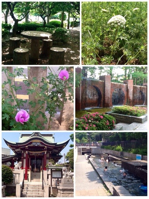 f:id:zam:20140603225024j:plain f:id:zam:20140603225024j:plain