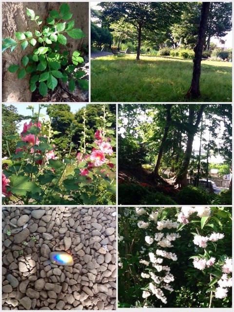 f:id:zam:20140603230108j:plain f:id:zam:20140603230108j:plain