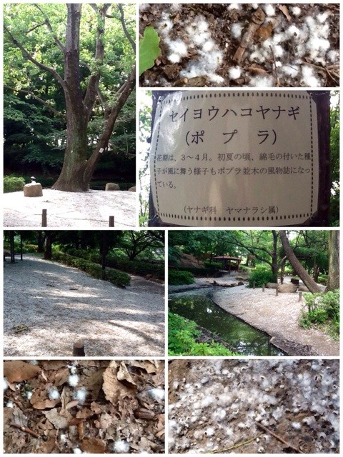 f:id:zam:20140603230530j:plain f:id:zam:20140603230530j:plain