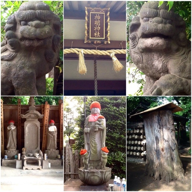 f:id:zam:20140605233609j:plain f:id:zam:20140605233609j:plain