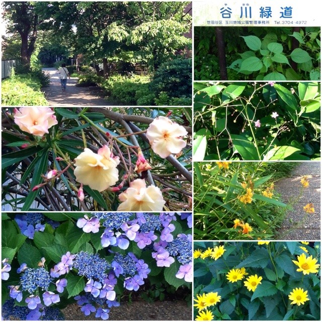 f:id:zam:20140615220235j:plain f:id:zam:20140615220235j:plain