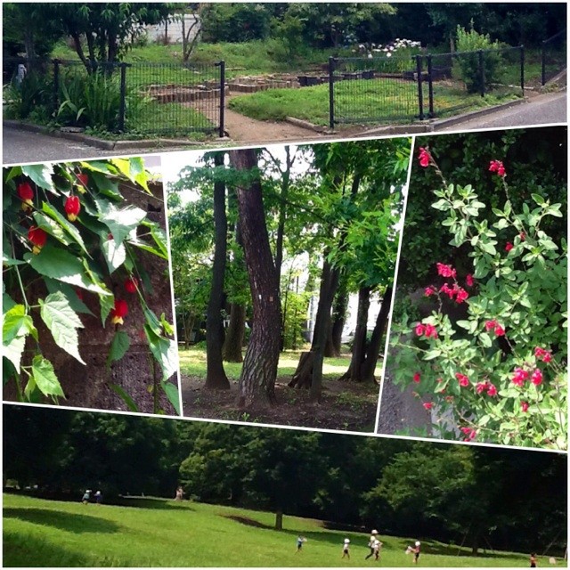f:id:zam:20140616225741j:plain f:id:zam:20140616225741j:plain