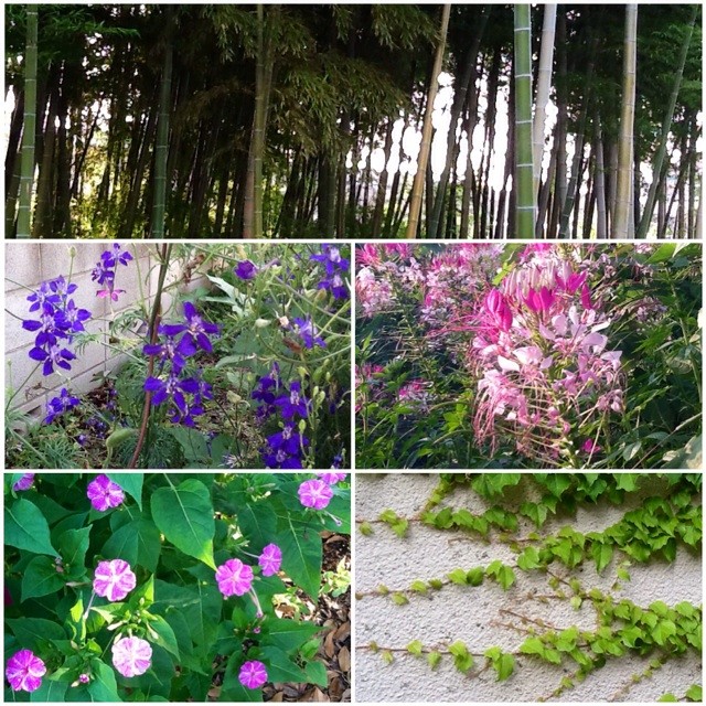 f:id:zam:20140702204633j:plain f:id:zam:20140702204633j:plain