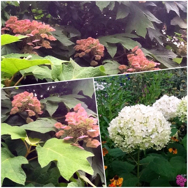 f:id:zam:20140704205704j:plain f:id:zam:20140704205704j:plain