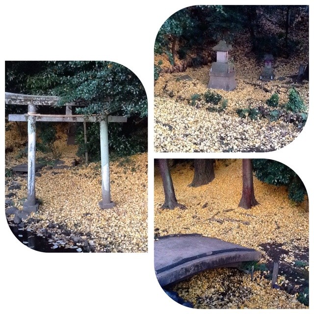f:id:zam:20141204042235j:plain f:id:zam:20141204042235j:plain
