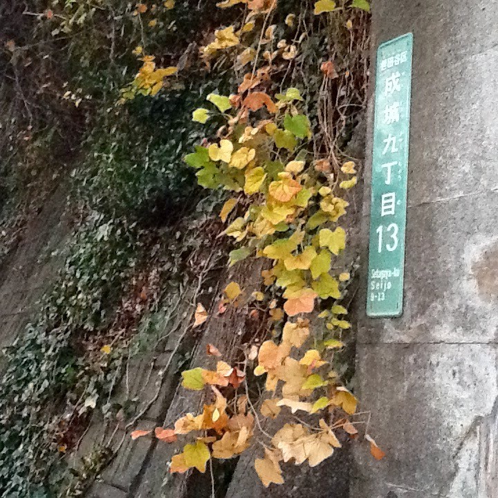 f:id:zam:20151201162954j:plain f:id:zam:20151201162954j:plain
