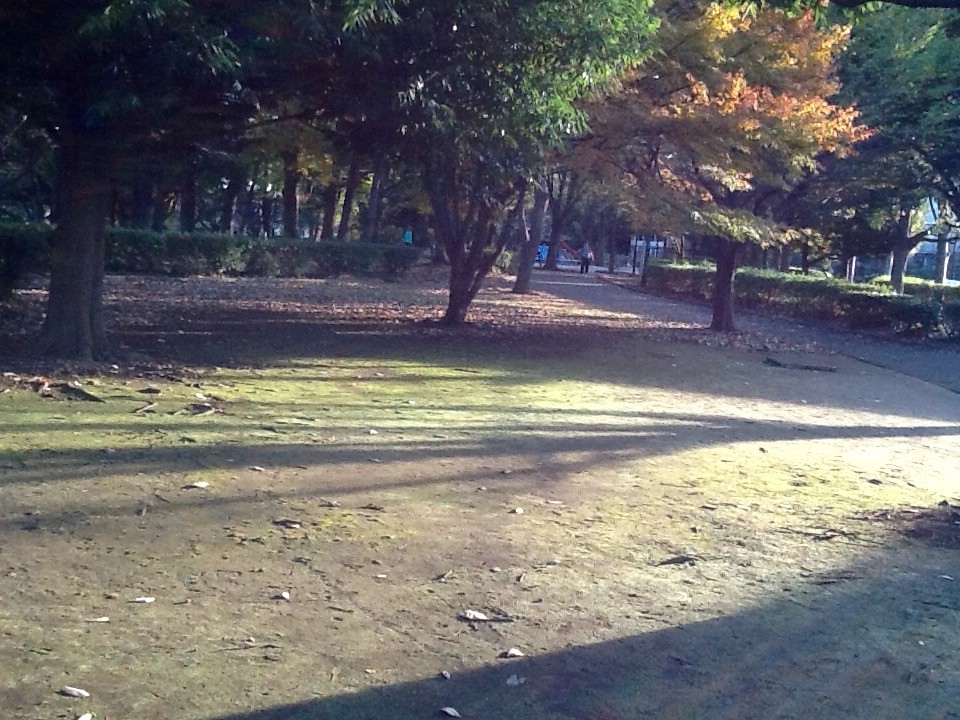 f:id:zam:20151205151439j:plain f:id:zam:20151205151439j:plain